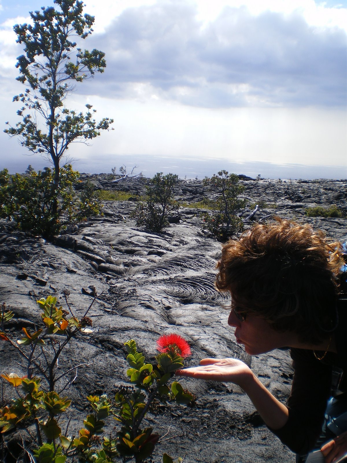 [admiring+the+beautiful+flowers.jpg]