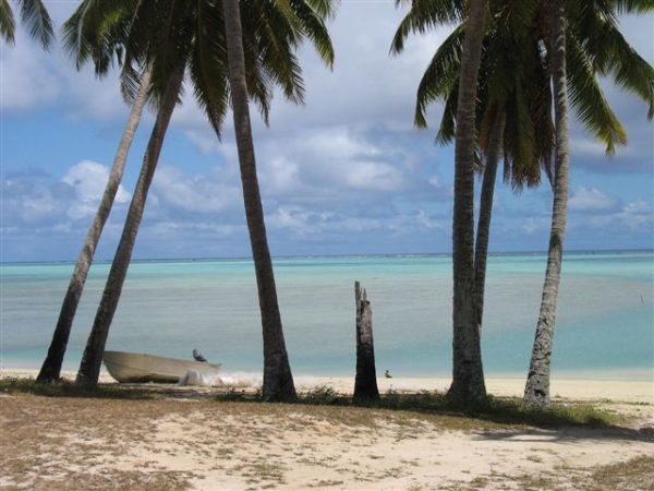 beach in the Cook Islands