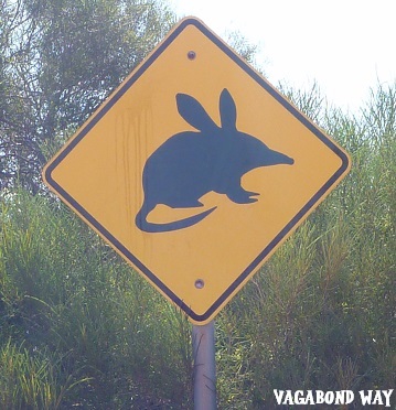 bilby sign; photo by Vagabond Way
