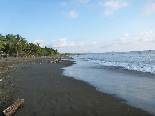 black sand beach