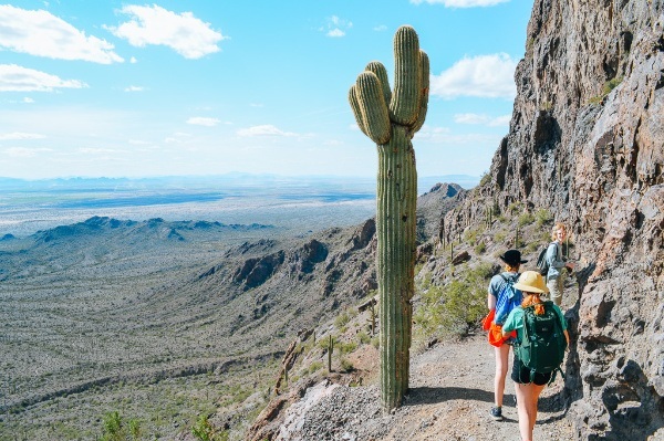 Blogging millionaire Michelle Schroeder-Gardner, enjoying work-life balance in the outdoors with a green cactus