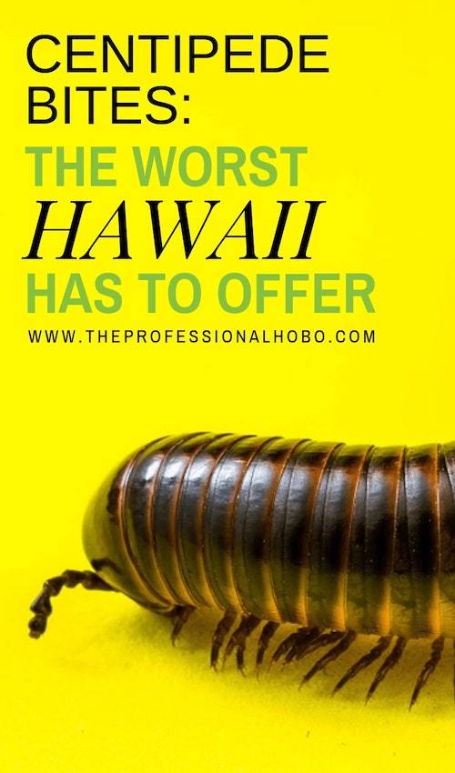 Centipedes: the worst Hawaii has to offer! Here's what it's like to be bitten by one...twice.