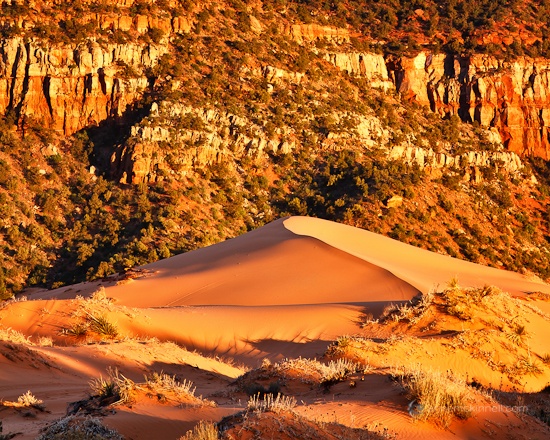 coral sands, photo by Anne McKinnell