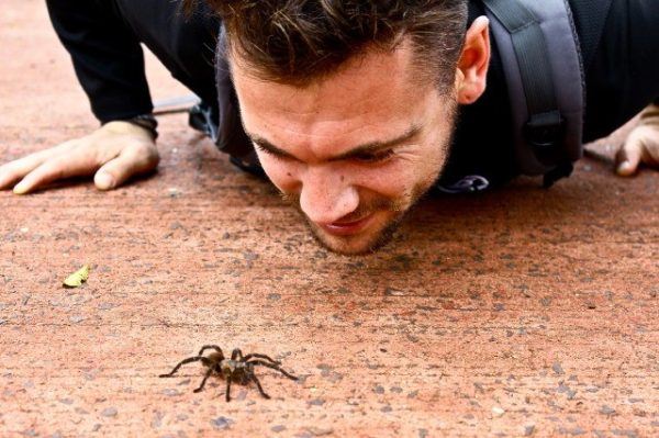 Greg Snell looking at a big spider in Argentina