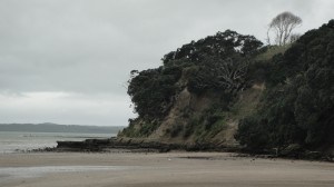 Day 7 - beach