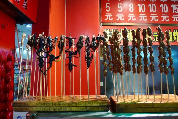 scorpions on sticks