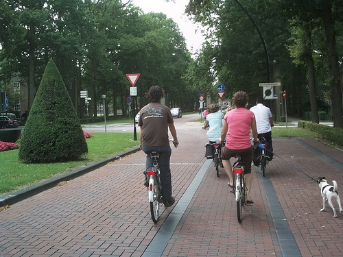 Dutch bicycling
