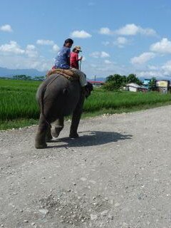 riding an elephant
