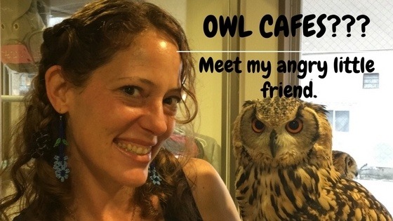 owl cafes in Tokyo