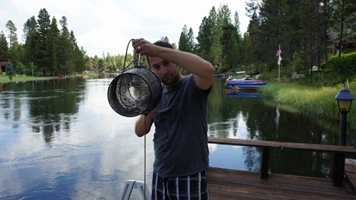 Crayfish hunting