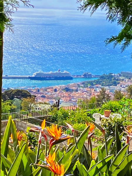 Funchal Madeira with a cruise ship in port Funchal Madeira with a cruise ship in port