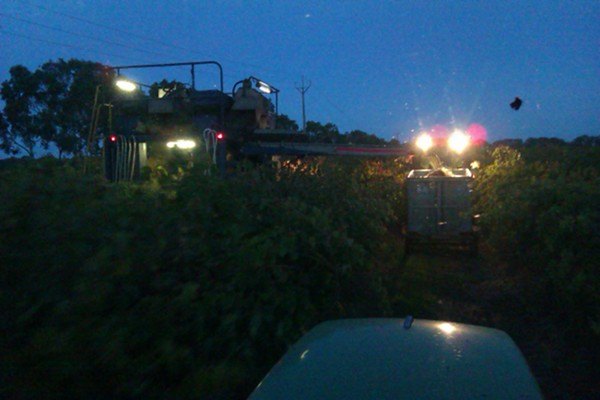 Harvesting at Night