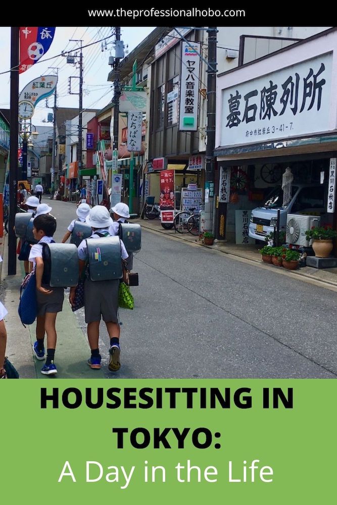Housesitting in Tokyo - here's a day in the life of my 2-month house-sitting gig in a suburb of Tokyo! Humour included. #travelstories #housesitting #TheProfessionalHobo #Japan #Tokyo #humour #longtermtravel