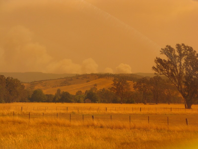 Hazy sky of the Australian Bushfire