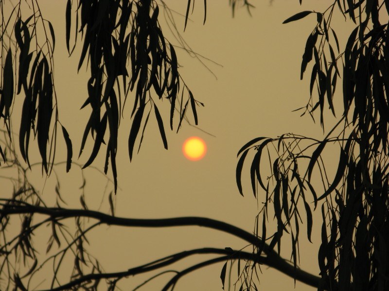 Victorian Bush Fire smoky morning