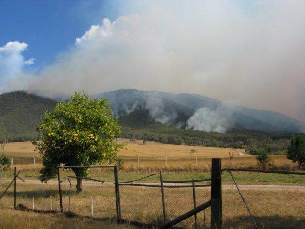 img_2812_1 My smoky back yard during the Australian bush fire diary