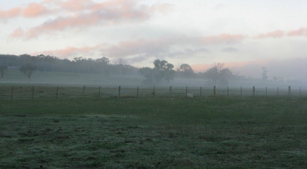 IMG_3422_1_1 IMG_3422_1_1