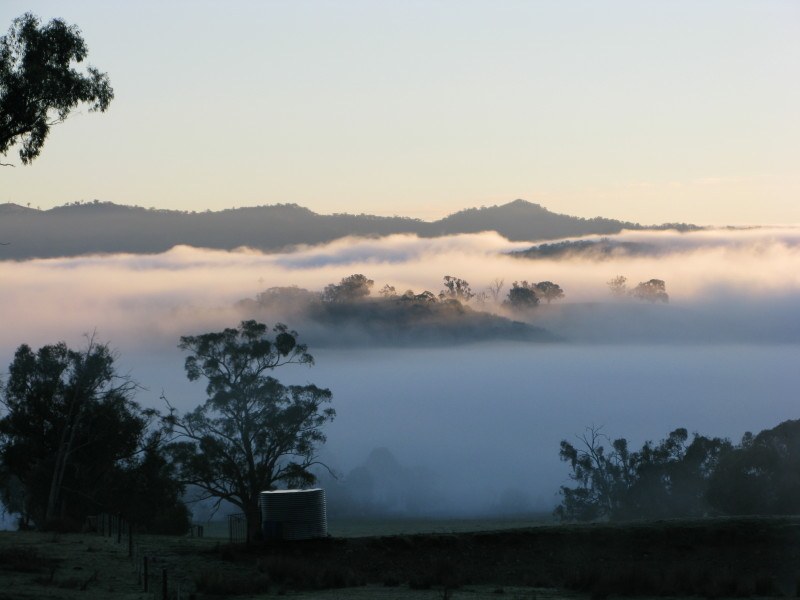 winter fog in Australia
