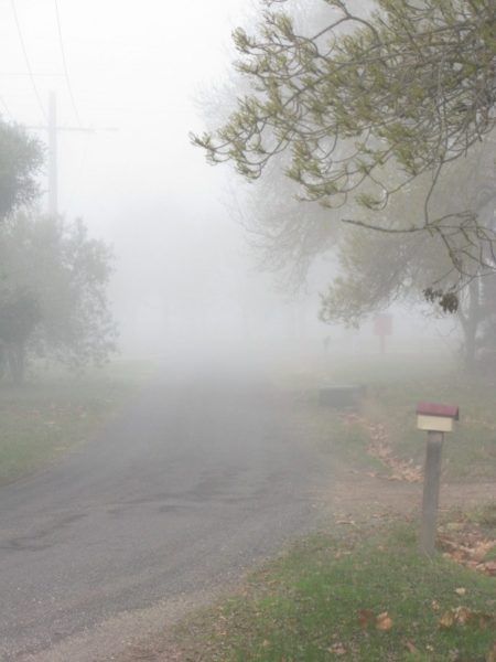 IMG_3483_1 thick winter fog in rural Victoria