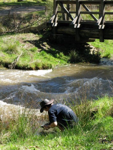 IMG_3720_1_1 panning for gold at Woods Point on the Golbourn river