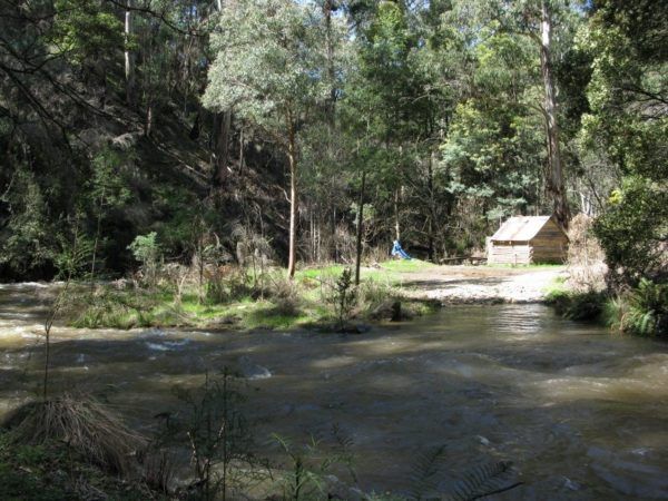 IMG_3724_1_1 Golbourn River, Australia