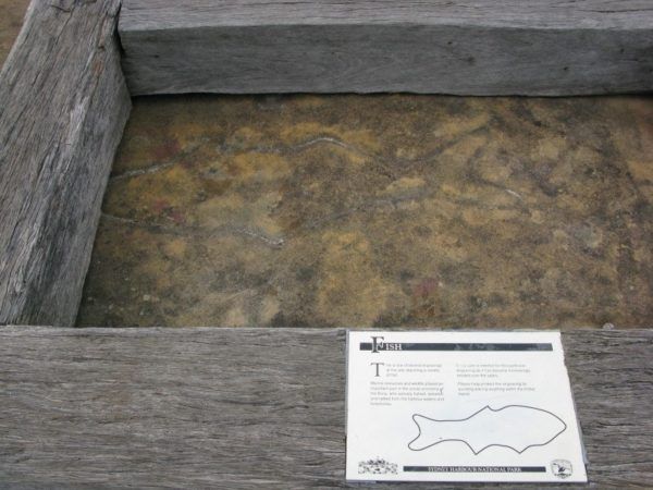 Aboriginal carvings