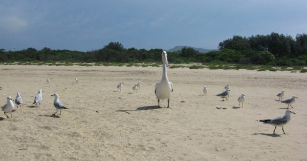 IMG_4040_1