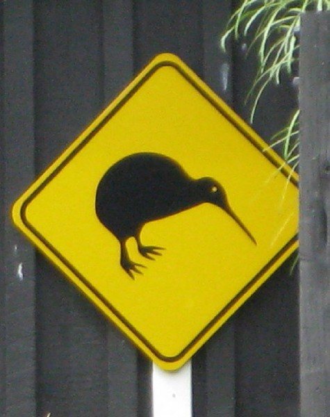 kiwi bird sign