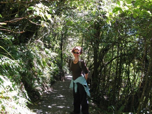 The Professional Hobo in the dense foliage at the end of the Tongariro hike