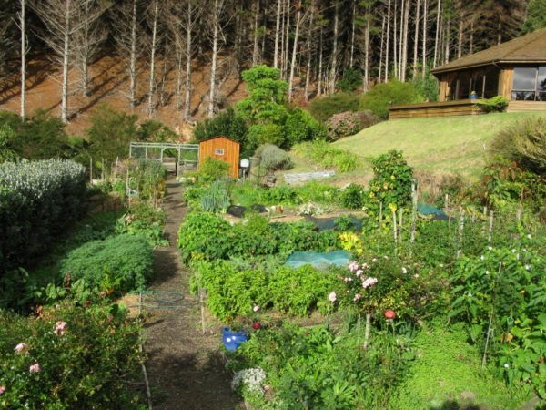 the garden at Mana