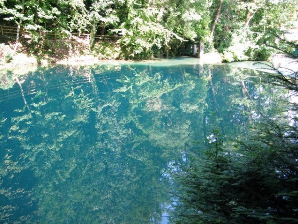 the blue pond