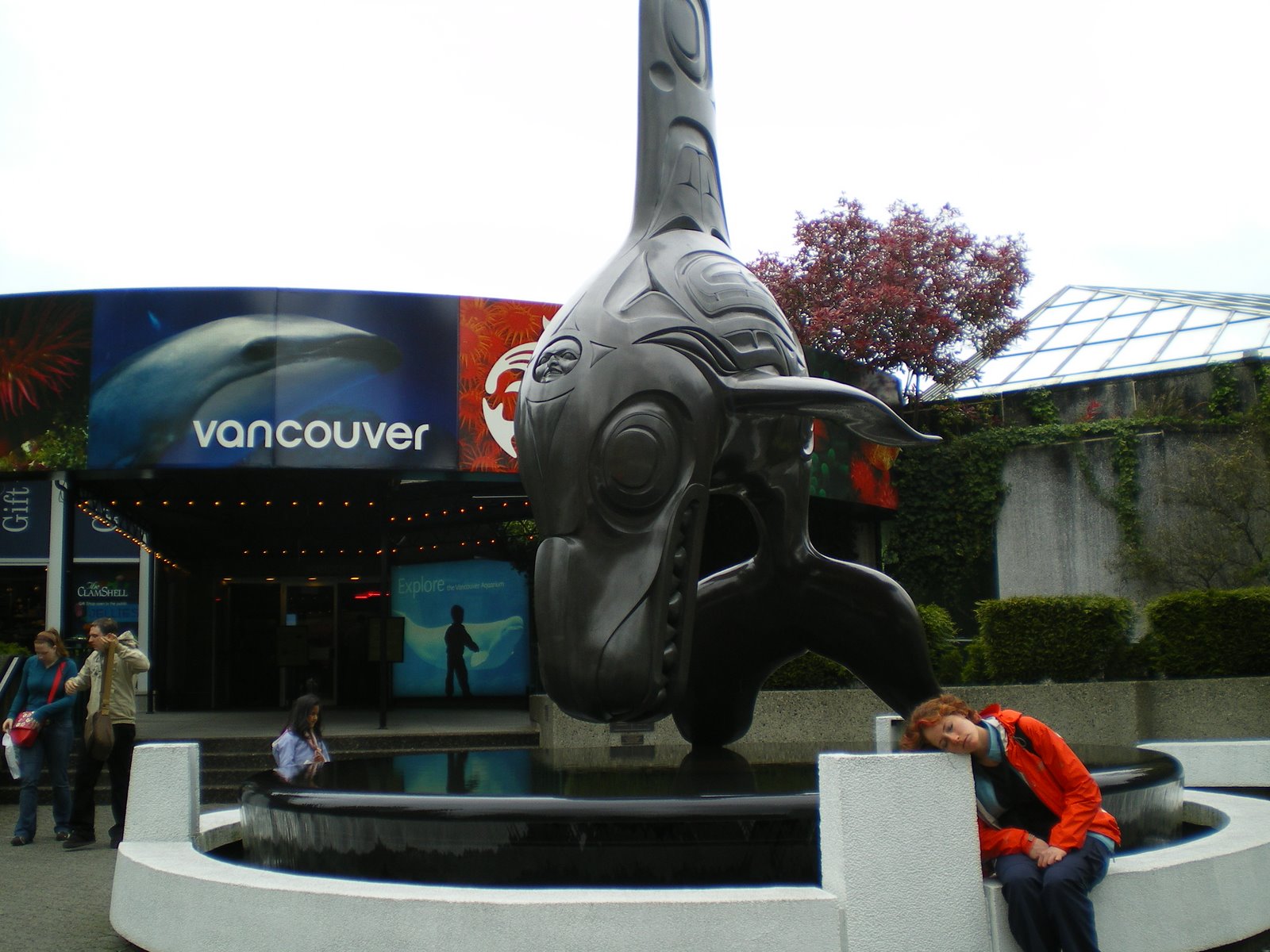 [IMGP0355.JPG]