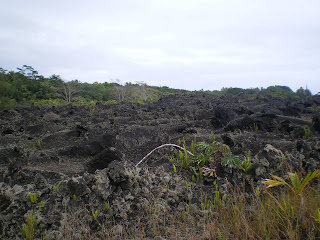 Living on lava in Hawaii