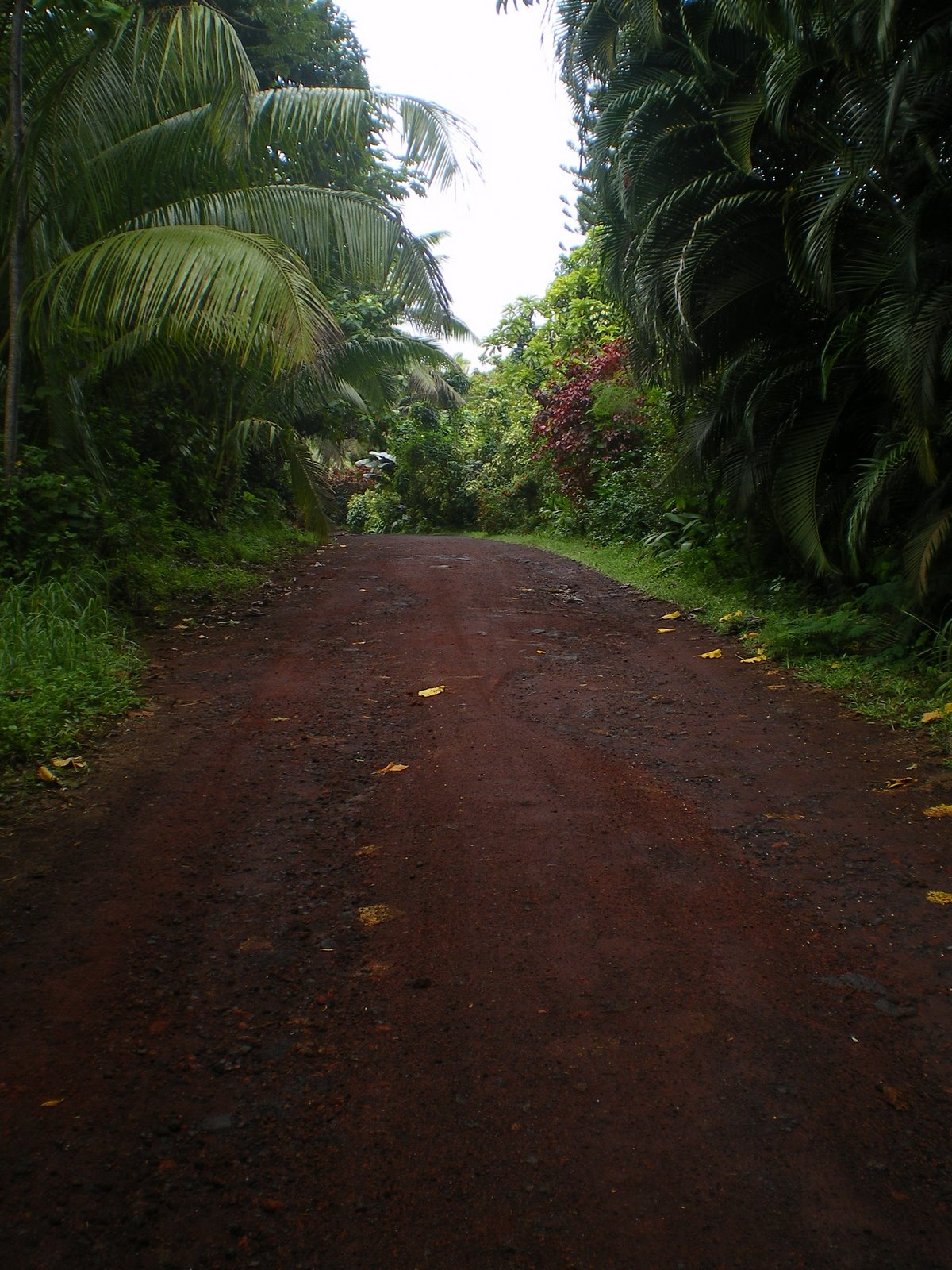 [IMGP1111.JPG]