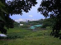 The view from Holualoa
