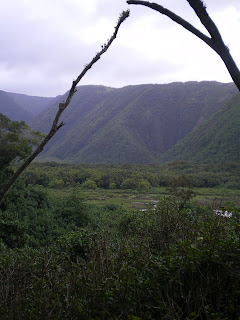 the dramatic Pulolu Valley