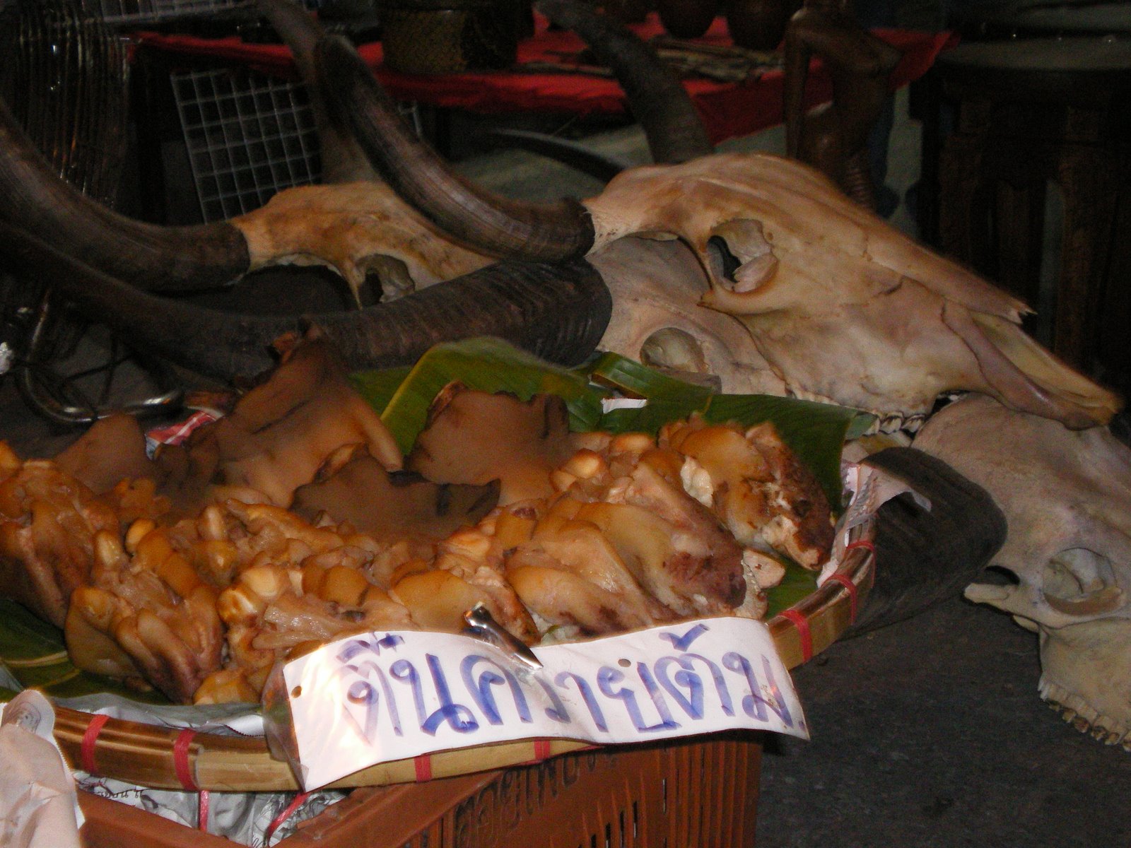 [IMGP1827.JPG]