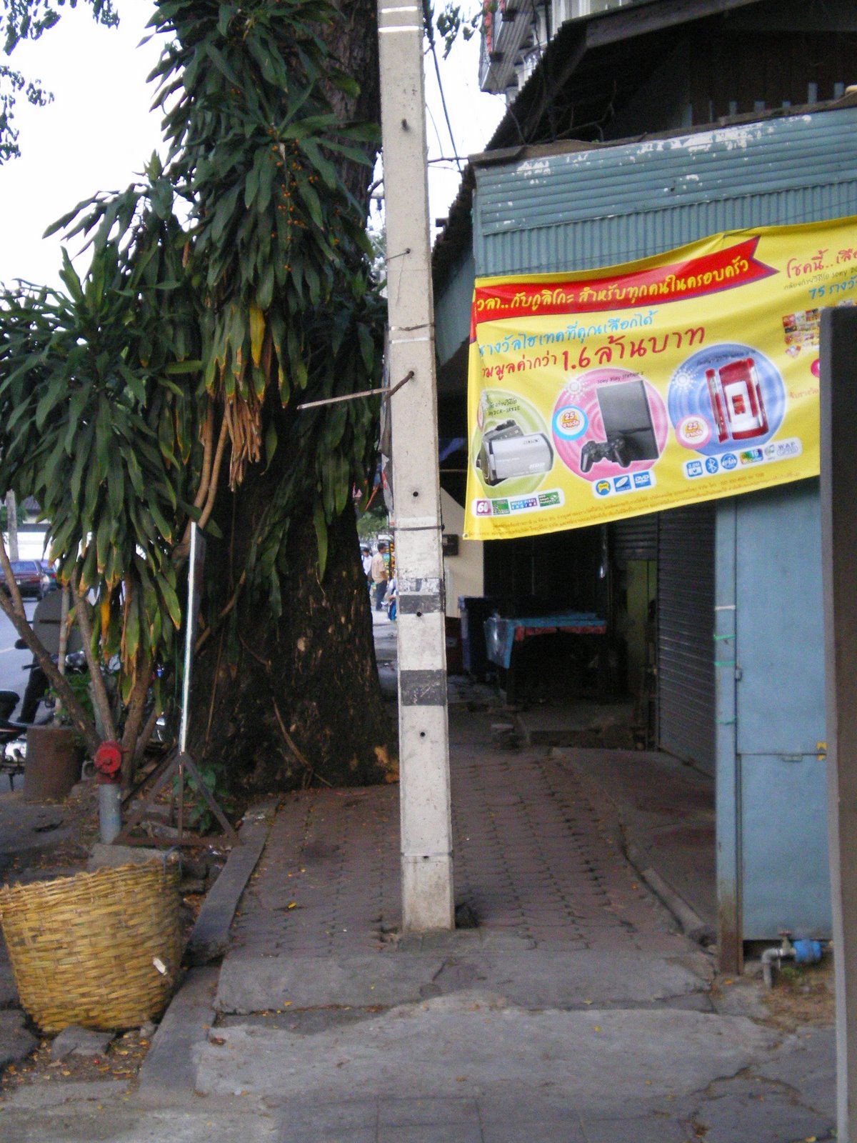 [IMGP1952.jpg]