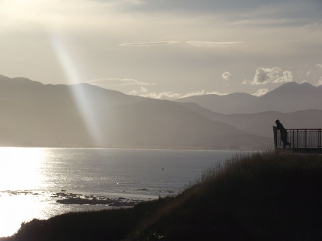 James of Our Oyster in Kaikoura