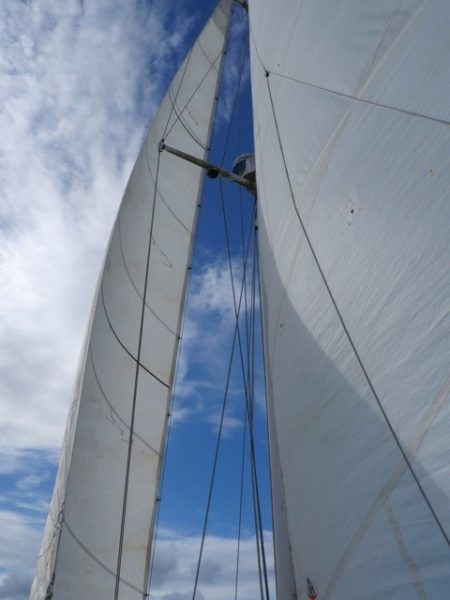 sailing