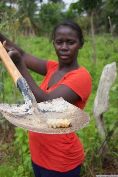 Khady finds a giant maggot