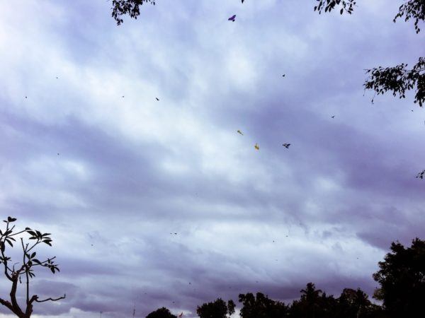 kites in the sky in Bali