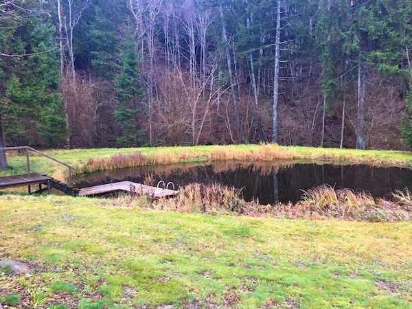 Latvian Sauna pond for cold dunking