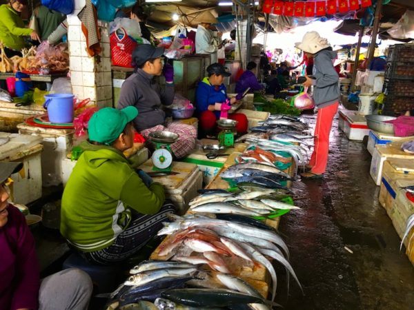Hoi An market fish for sale