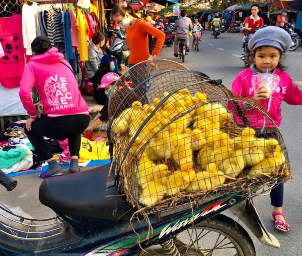 chicks on a bike in Vietnam