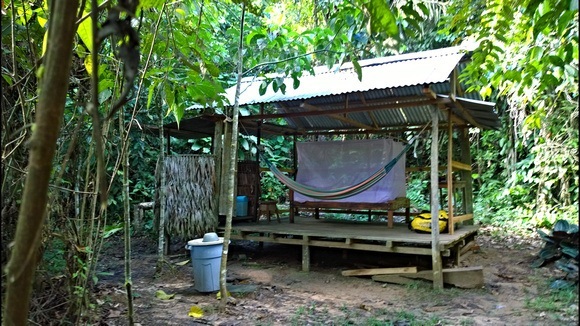 open-air jungle tambo