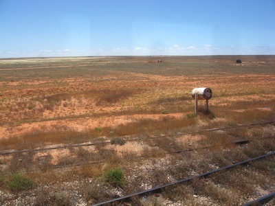 Nullarbor Nullarbor Desert Australia, near Kalgoorlie
