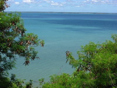 darwin heat darwin heat