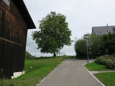 suburban Zurich, looks more like the countryside