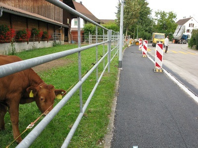 rural and urban, juxtaposed in Zurich